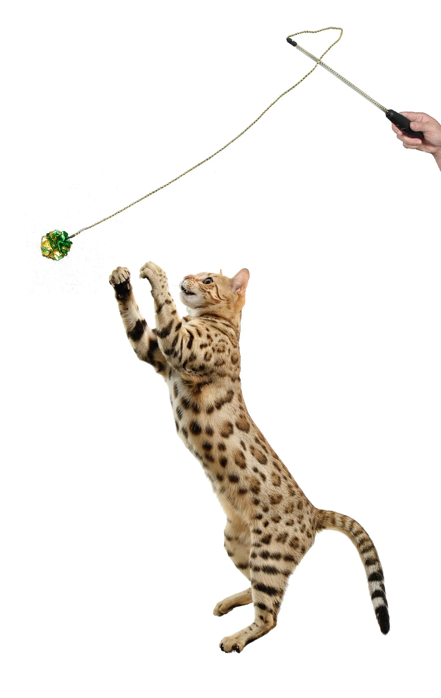 Adjustable String Wand Toy - Crinkle Balls