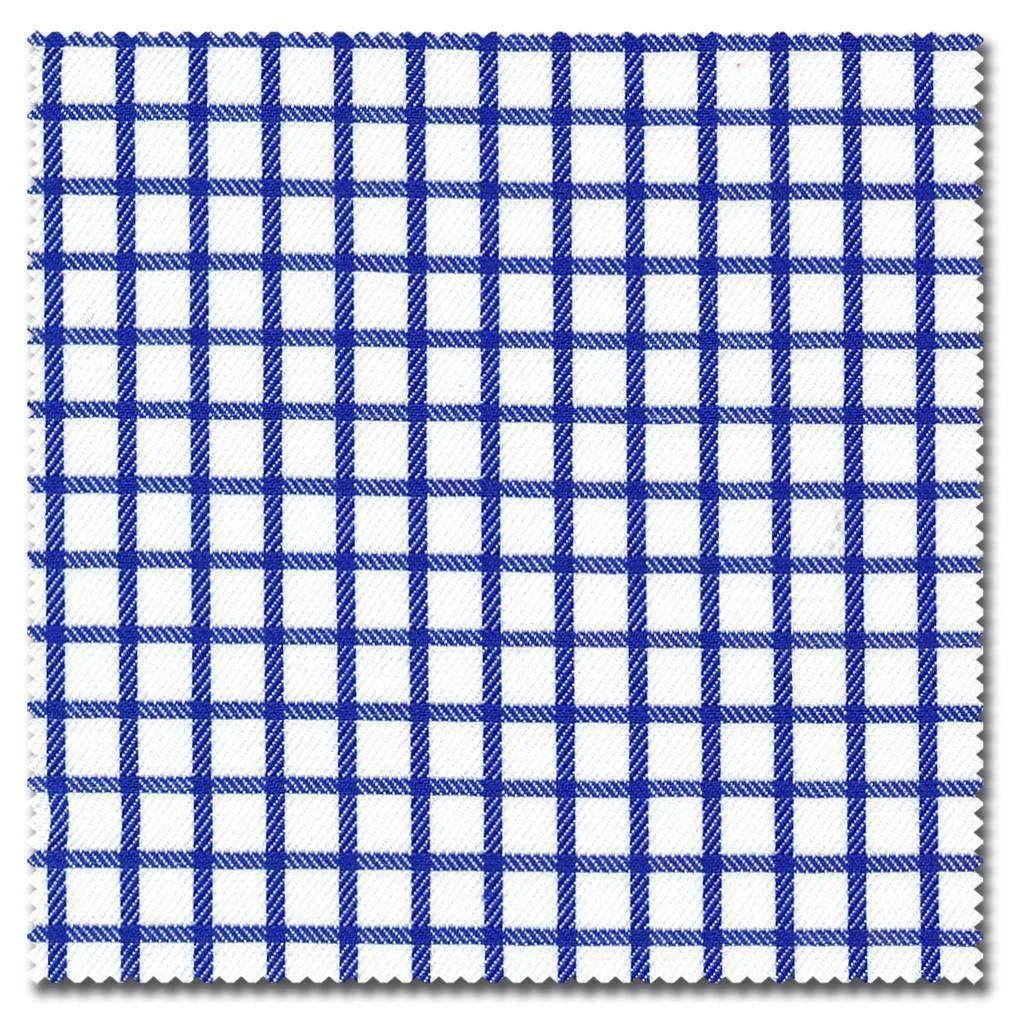 Blue & White Check Shirt