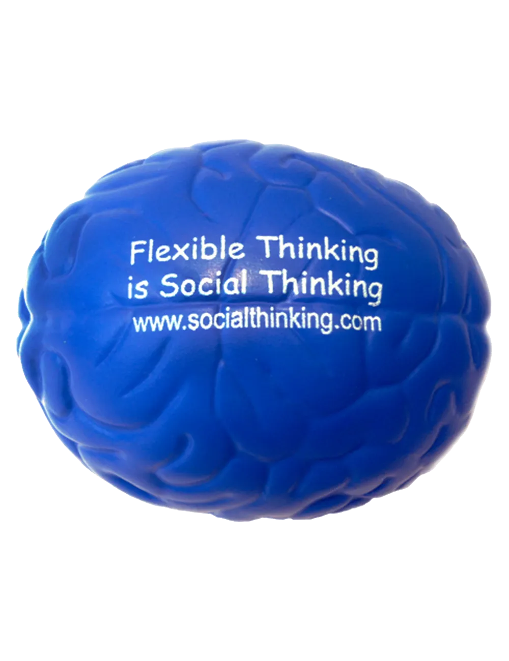 Brain (Squishy Foam)