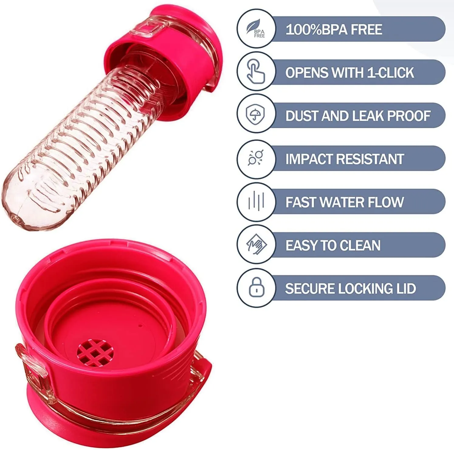 Fruit Infuser Water Bottle