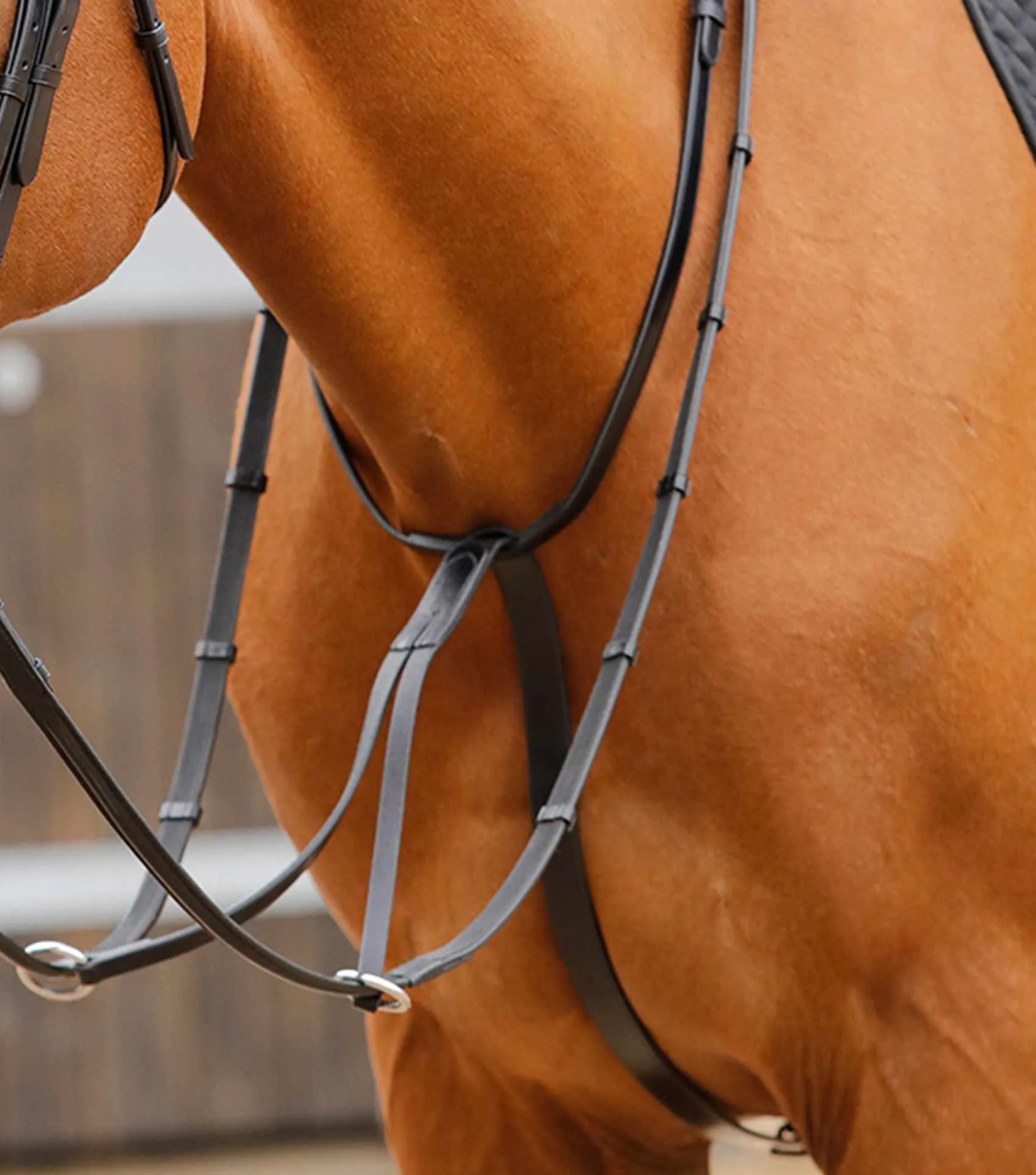 Fuscaldo Running Martingale Black