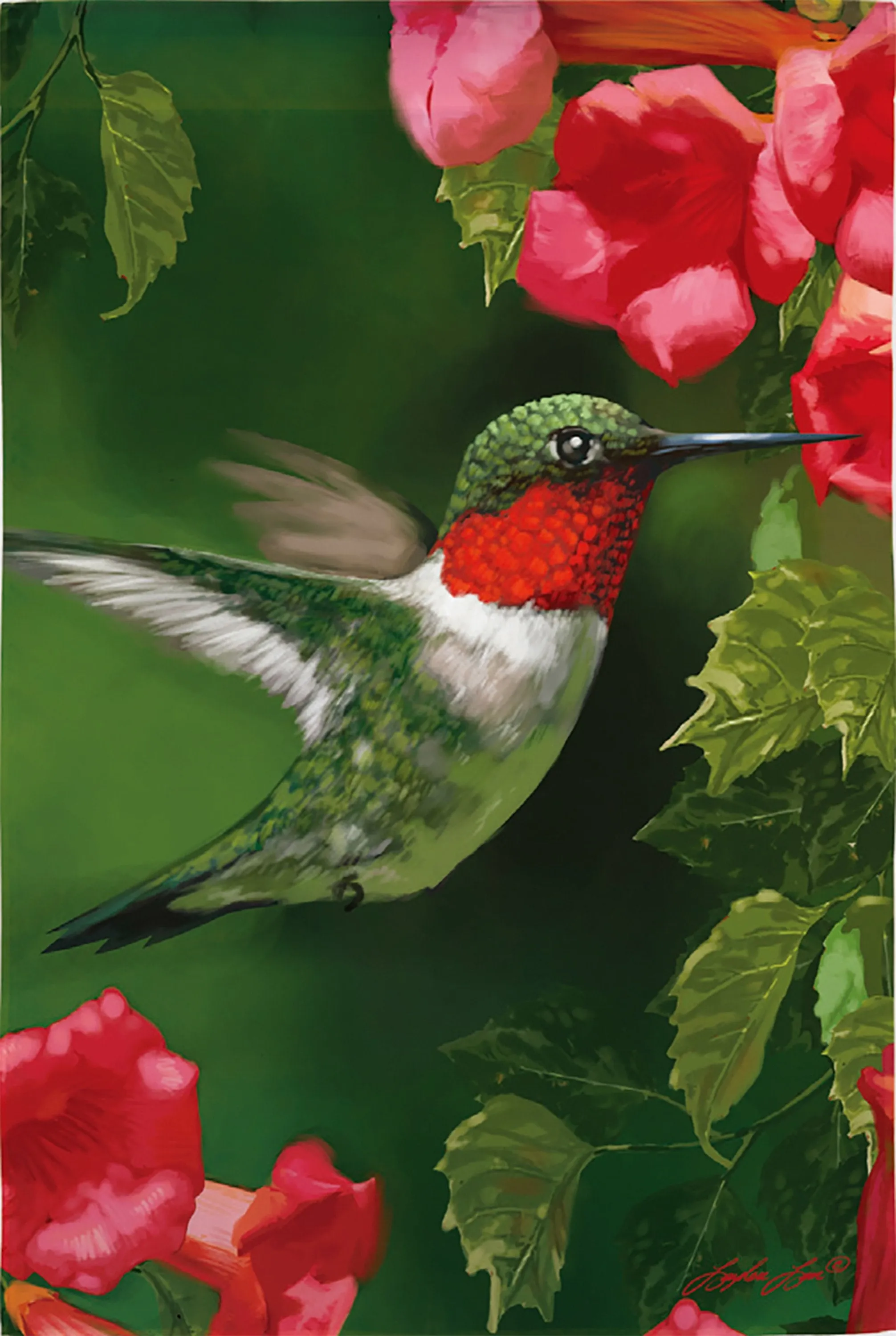 Hummingbird Closeup Suede House Flag,131634an