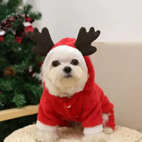 Pet Elk Holiday Cozy Sweater