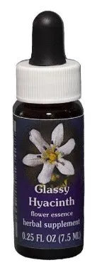 Range of Light - Glassy Hyacinth - .25 fl oz