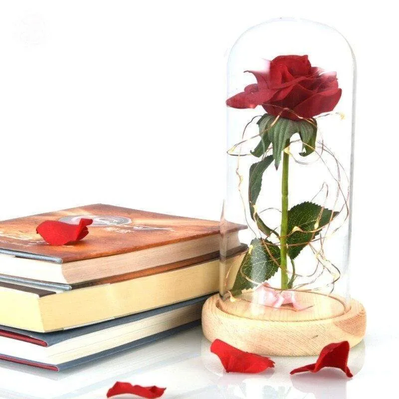 The Enchanted Rose