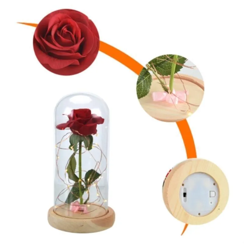 The Enchanted Rose