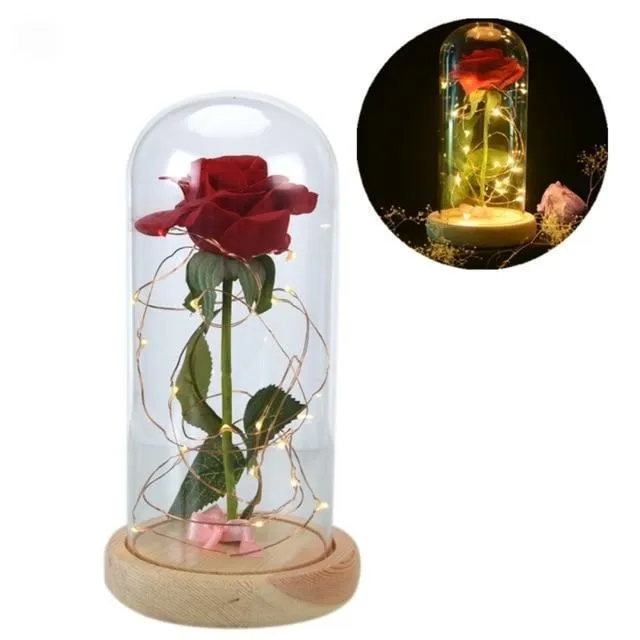 The Enchanted Rose