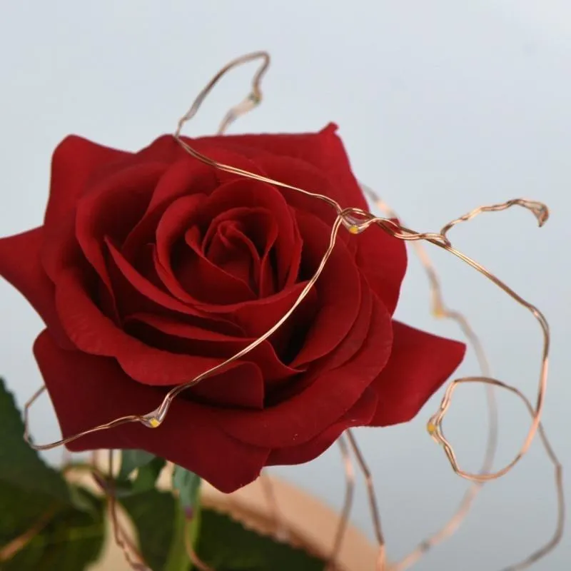 The Enchanted Rose